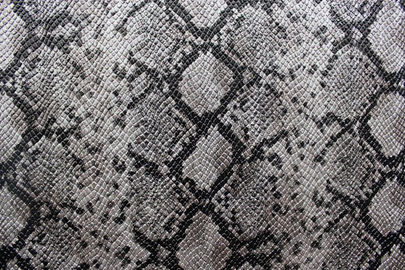 Кожа питона текстура