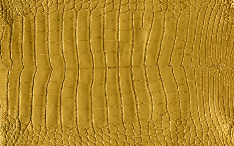 Кожа крокодила Hermes