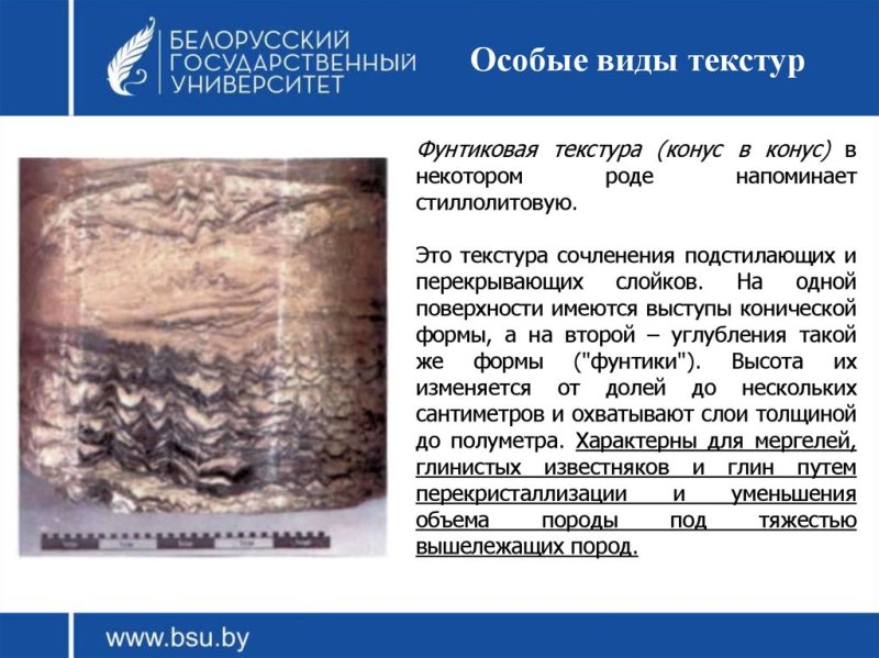 Текстура осадочных горных пород