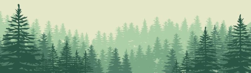 Сосновый лес на белом фоне