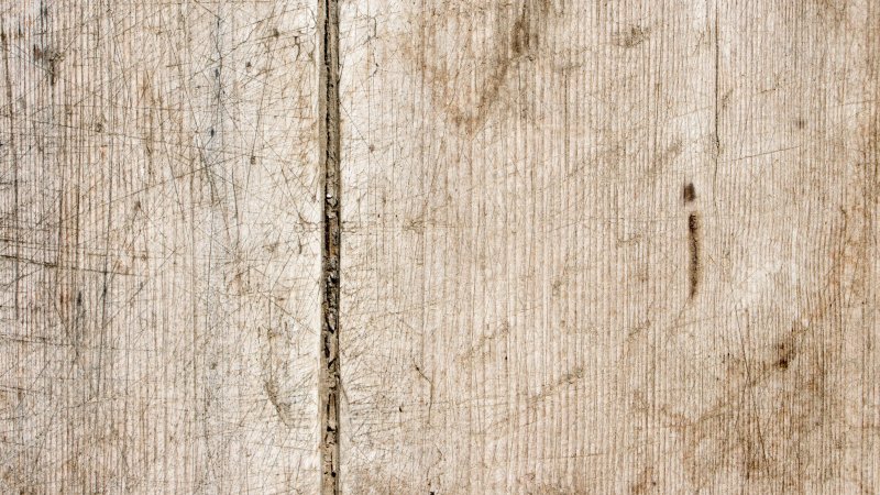 Фактура дерева