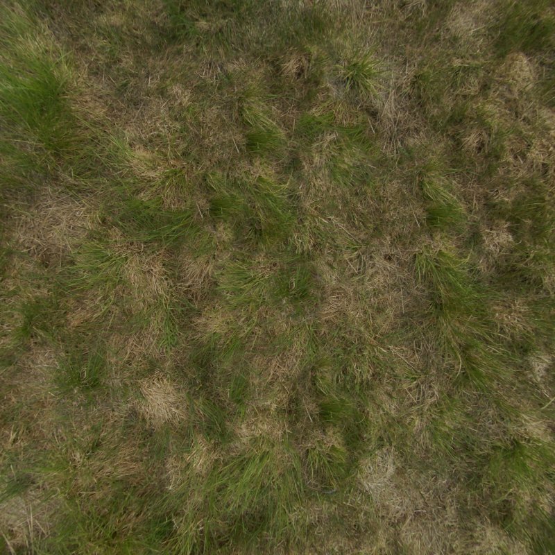 Земля текстура бесшовная для 3d Max