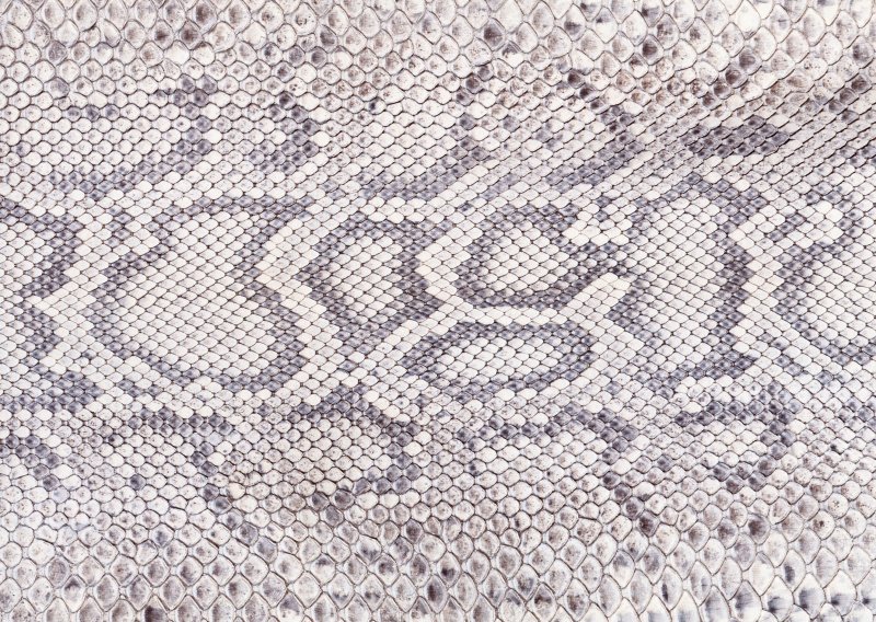 Змеиная чешуя Альфа