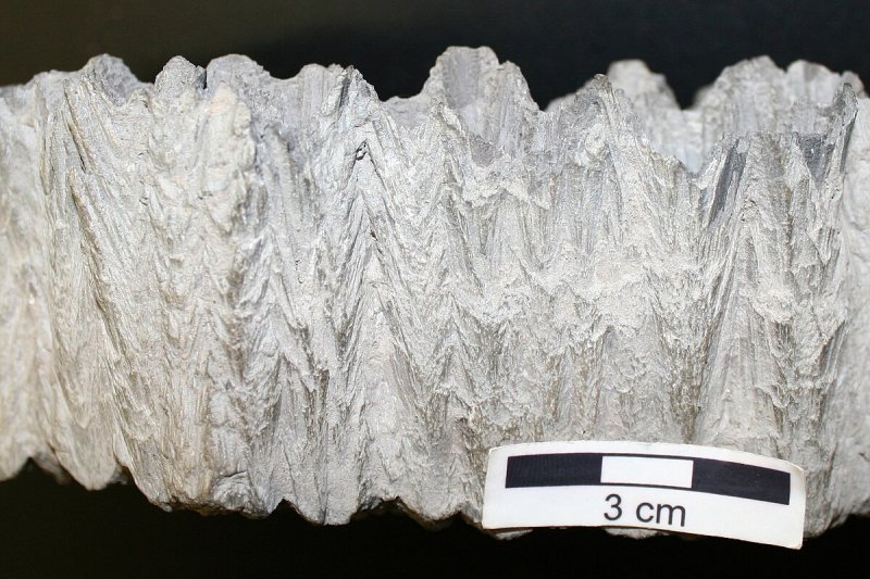 Cone in Cone структура