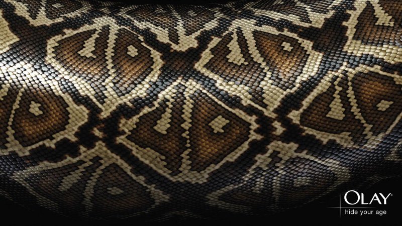 Змеиная чешуя питон