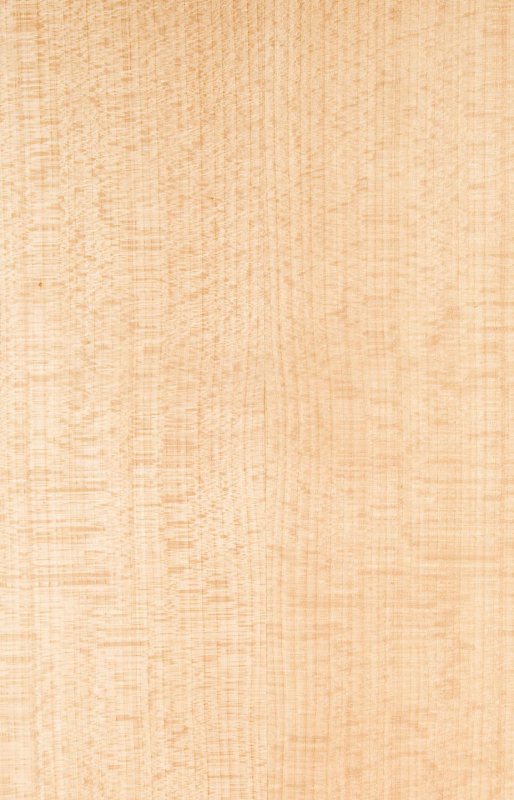 Осина текстура древесины