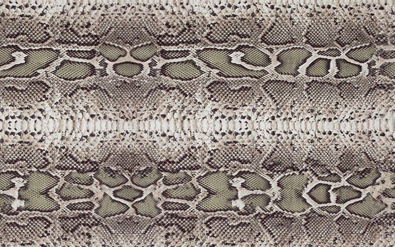 Принт змеиная кожа