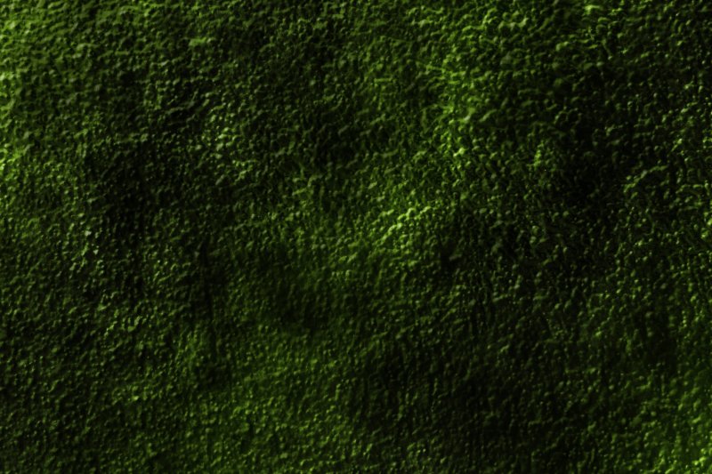 Кожа динозавра текстура