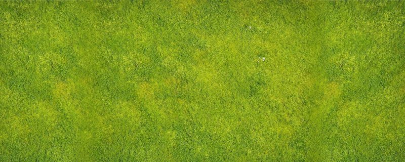 Текстура травы