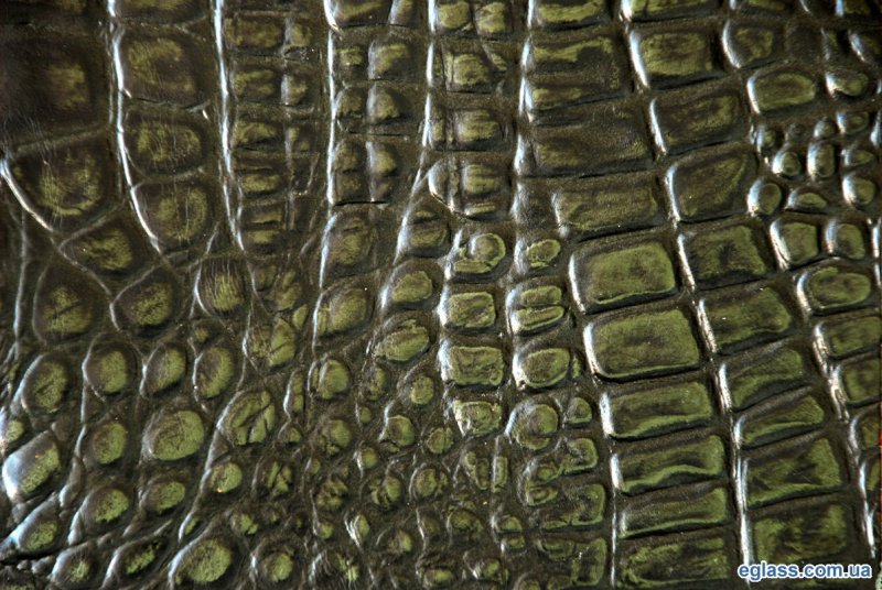 Кайман чешуя