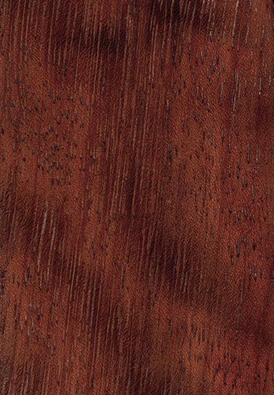 Камбала Ироко