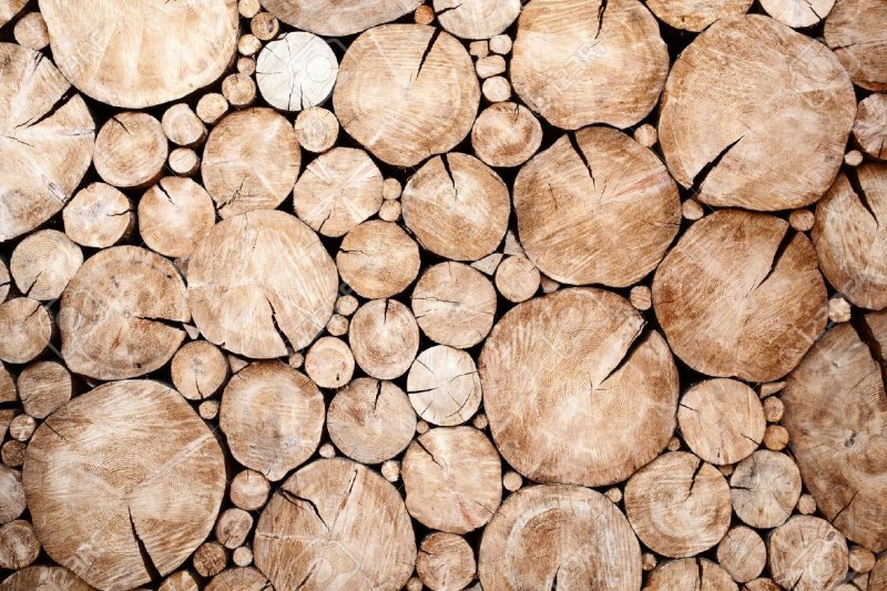 Текстура сруба дерева