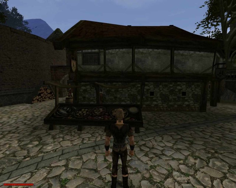 Готика 2 ночь ворона