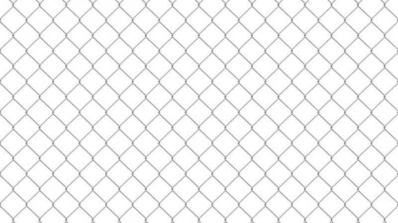 Сетка рабица 55х55