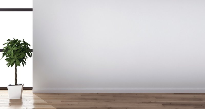 Пустая стена