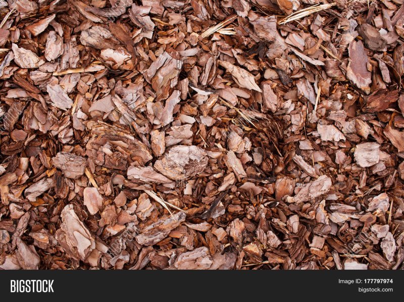 Кора мульча текстура бесшовная