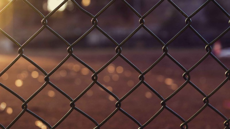 Сетка рябица или рабица