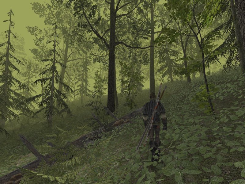 Готика 2 лес