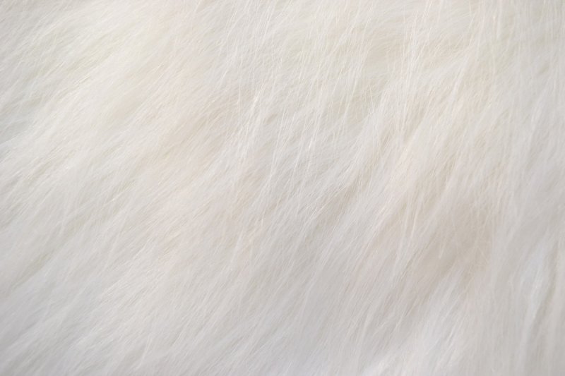 Белая шерсть