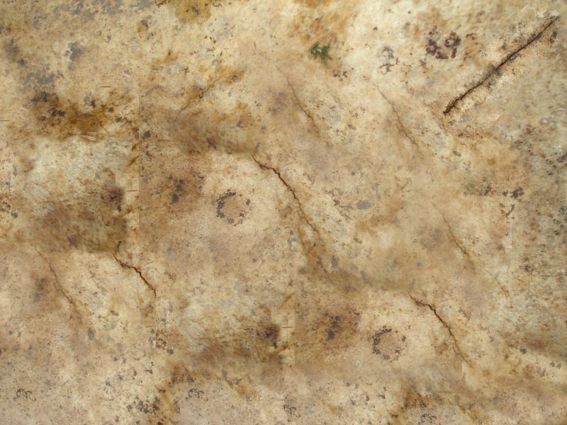 Старая кость текстура