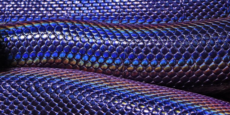 Змеиная кожа питон