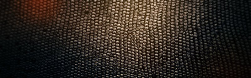 Змеиная кожа текстура