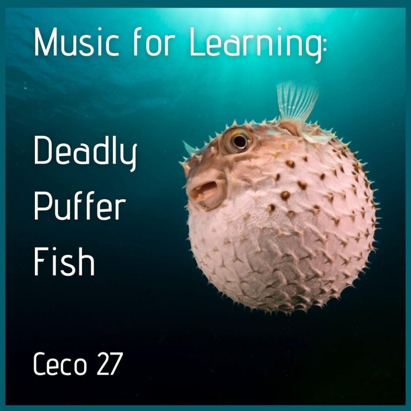 Рыба которая раздувается