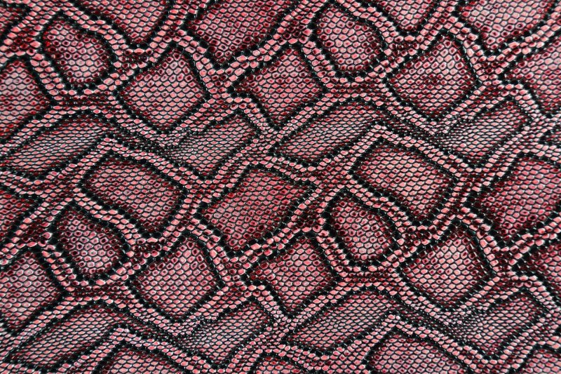 Змеиная кожа