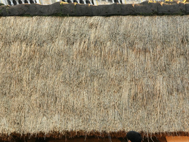 Соломенная крыша