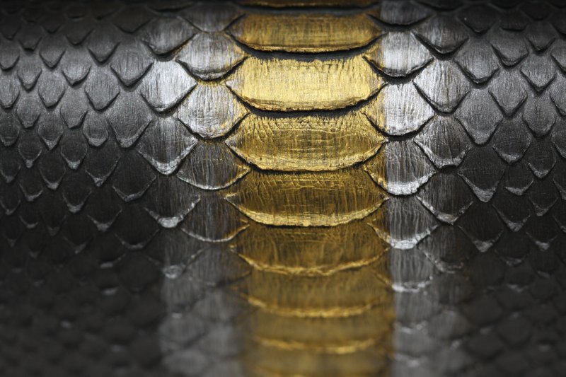 Чешуя змеи Альфа