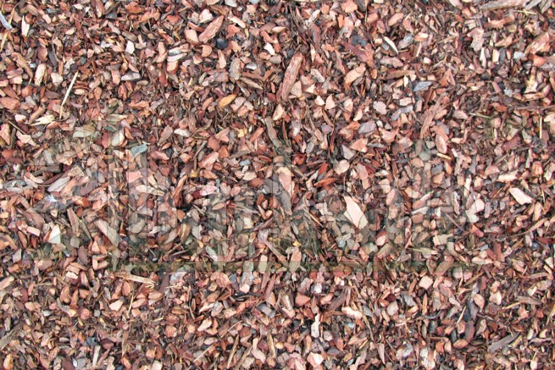 Кора лиственницы мелкая