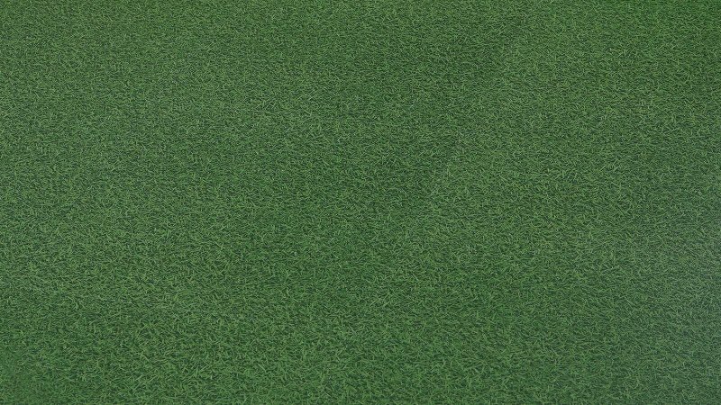 Текстура травы
