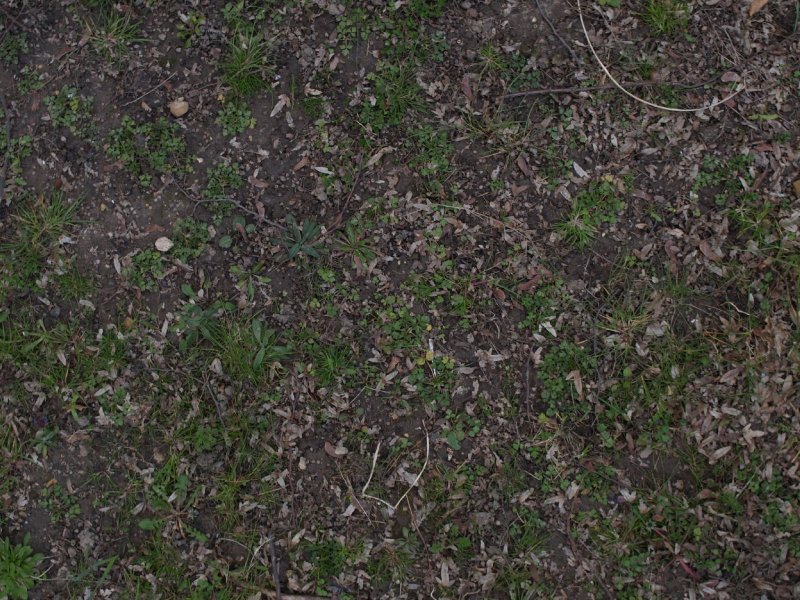 Текстура земли с травой