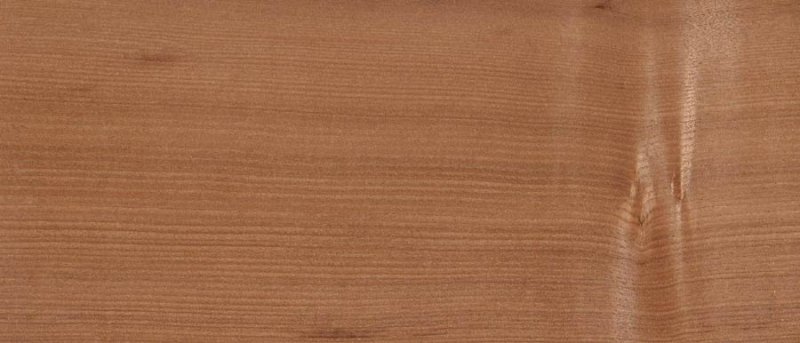 Каштан древесина