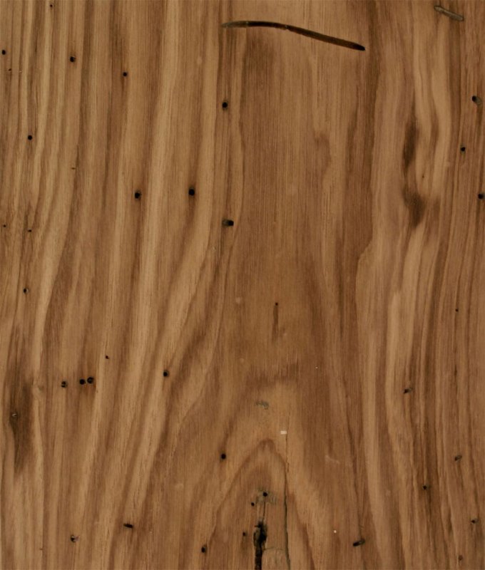 Текстура дерева