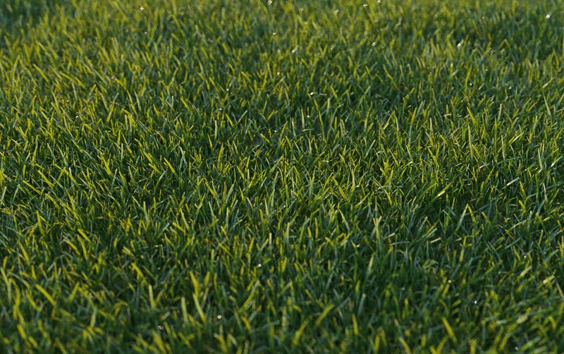 Текстура трава архикад