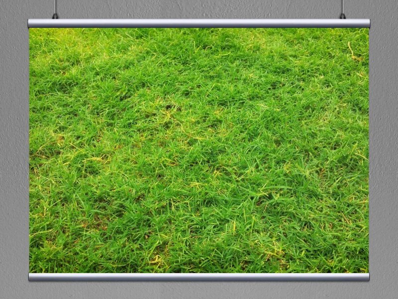 Фактура травы