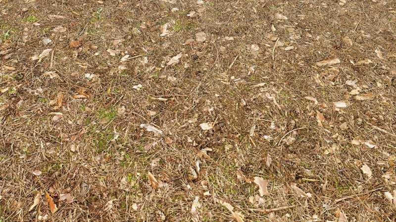 Текстура земли с травой