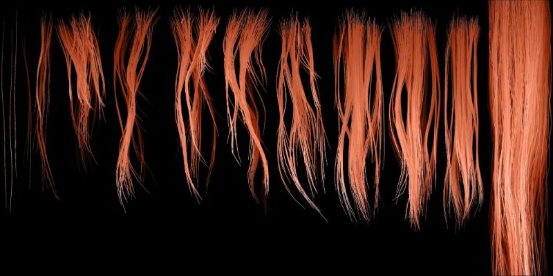 Текстура волос