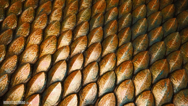 Золотая чешуя