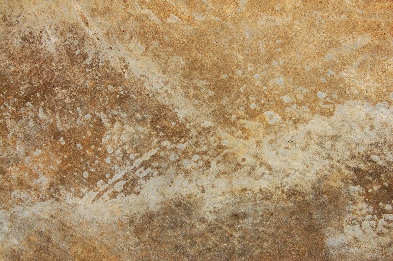 Старая кость текстура