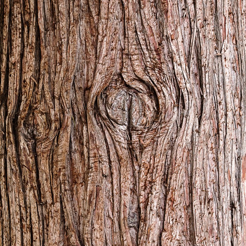 Деревянная текстура