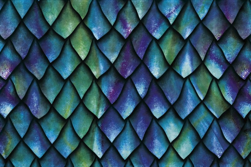 Чешуйка дракона