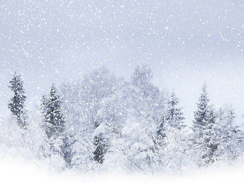 Снег метель