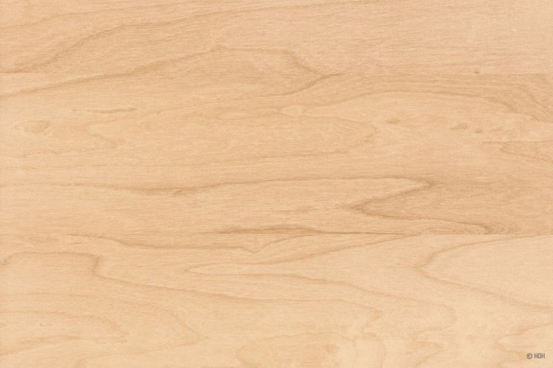 H3860 st9 клен сахарный шампань