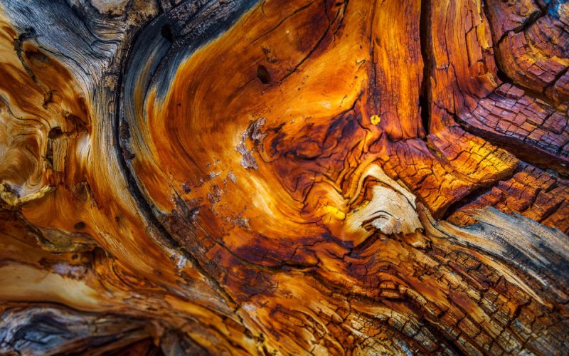 Палисандр слэб