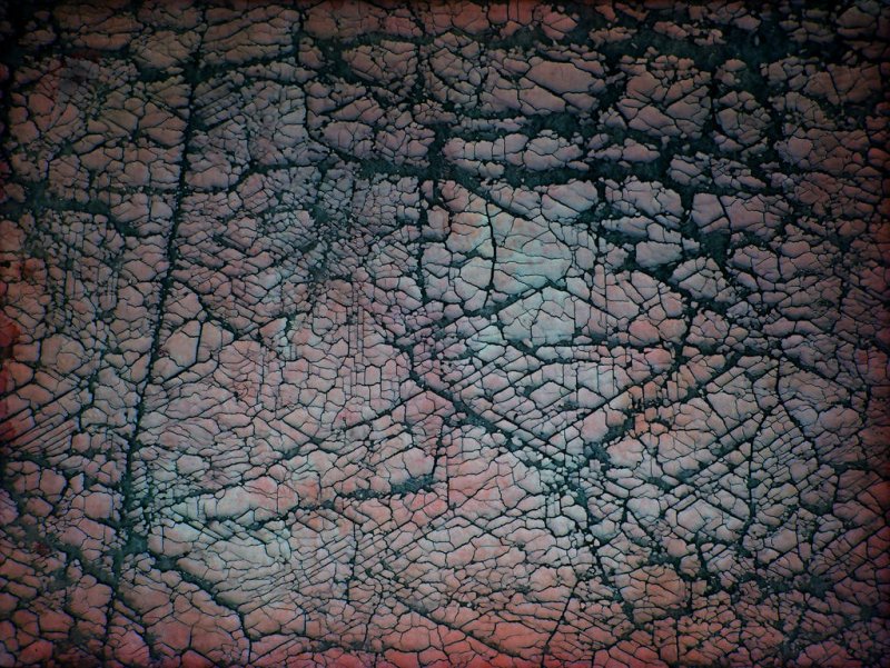 Текстура кожи