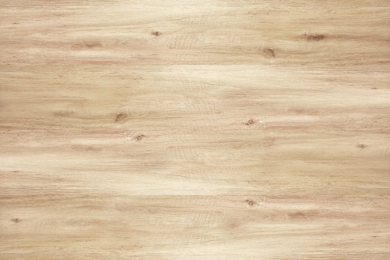 Дуб ирландский u31156