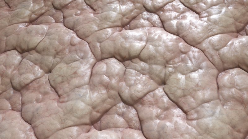 Текстура человеческой кожи