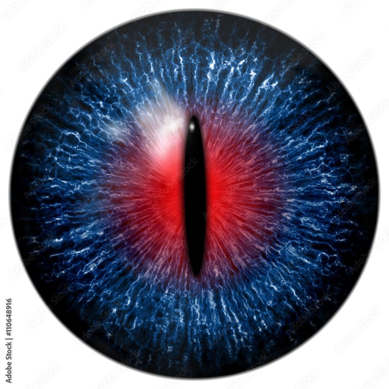 Зрачок глаза